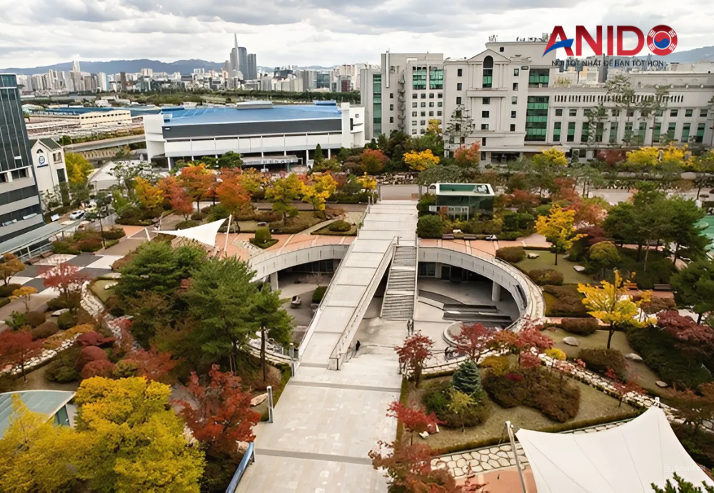 Cơ Hội Học Tập Tại Đại Học Hàng Đầu Seoul - Đại Học Hanyang