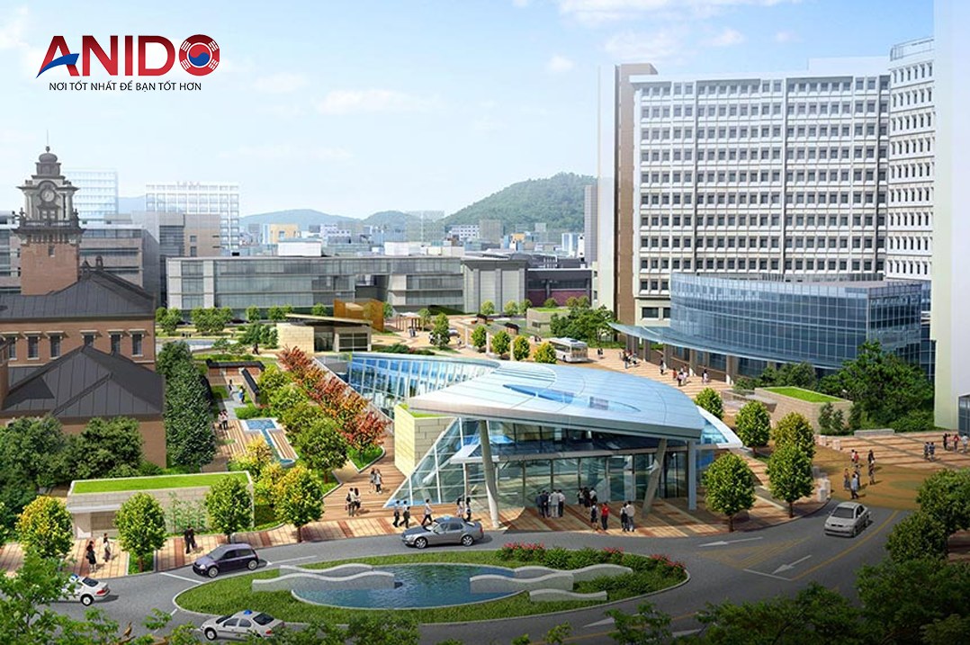 Đại Học Quốc Gia Seoul: Hành Trình Đến Với Tri Thức và Ước Mơ